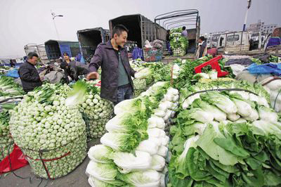 温州菜篮子农副产品批发市场